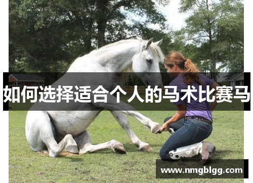 如何选择适合个人的马术比赛马