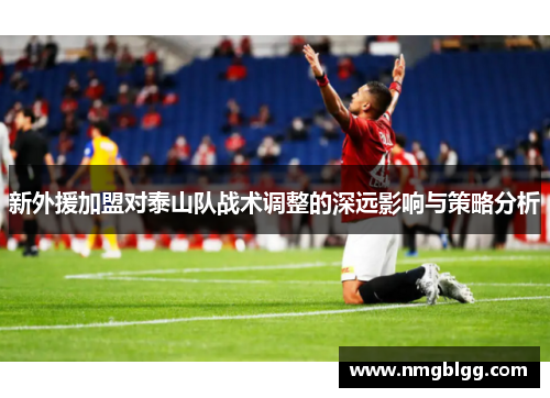 新外援加盟对泰山队战术调整的深远影响与策略分析