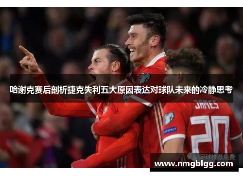 哈谢克赛后剖析捷克失利五大原因表达对球队未来的冷静思考